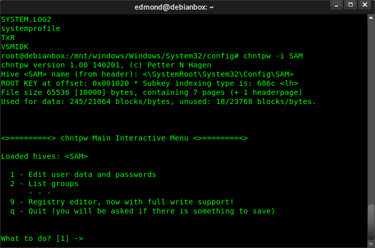 Come cancellare password login Windows da Linux