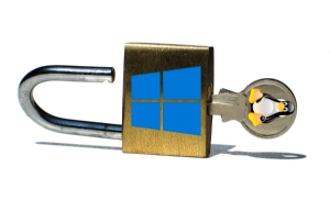 Come cancellare password login Windows da Linux