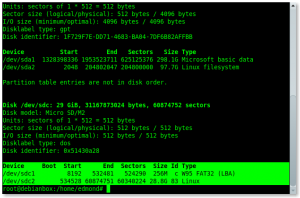 Raspberry Pi backup veloce sd card