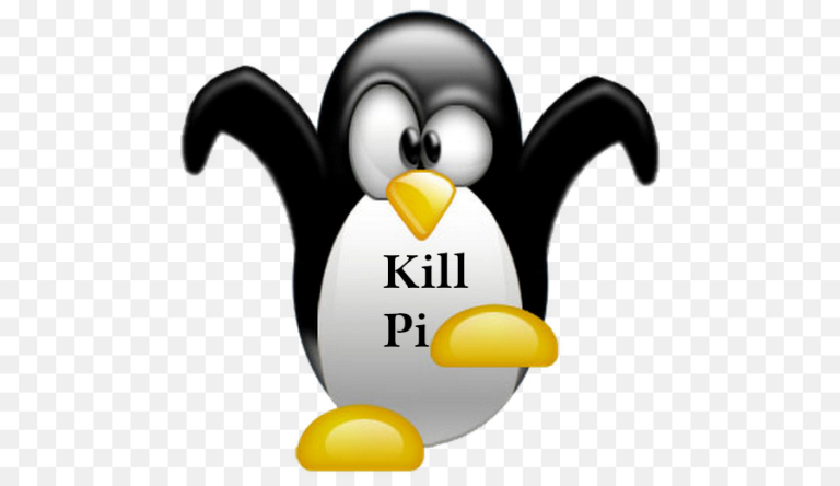 Raspberry rimuovere utente Pi