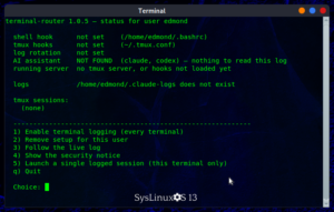 terminal-router