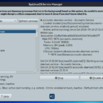 syslinuxos-service-manager-interfaccia